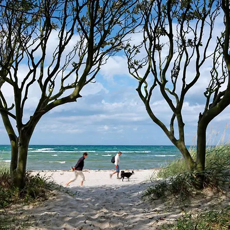 Residenz Am Yachthafen Hornhecht Kirchdorf (Poel)